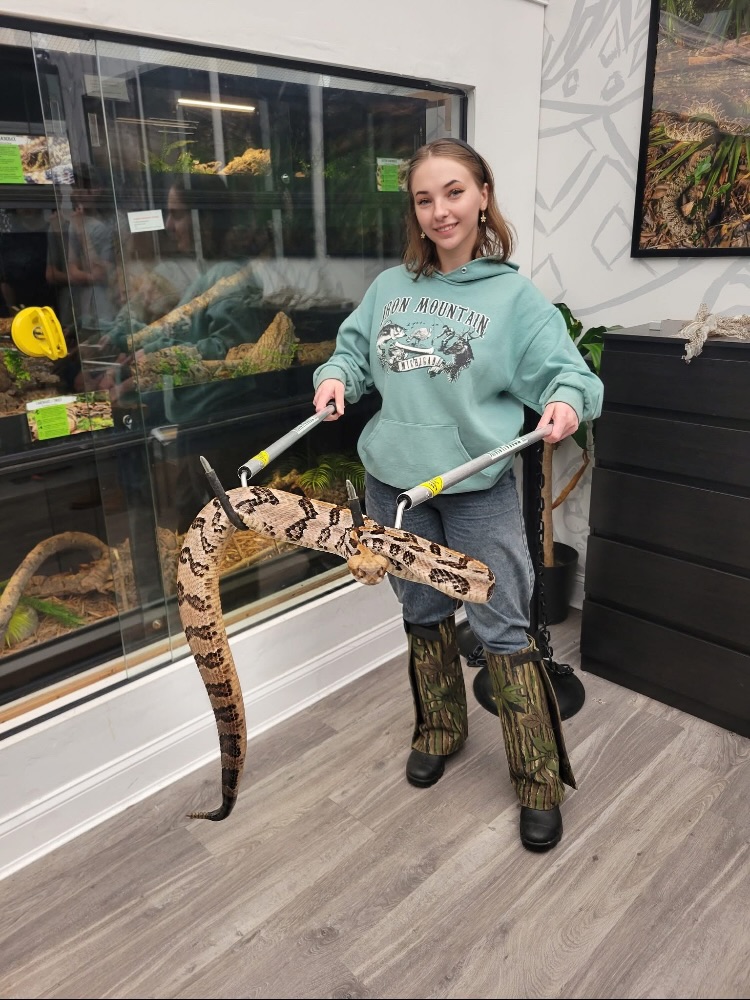 Reptile enthusiast and venomous snake handler Savannah Steel handling a Timber/Canebrake Rattlesnake during training with The Rattlesnake Conservancy in Jacksonville, Florida.